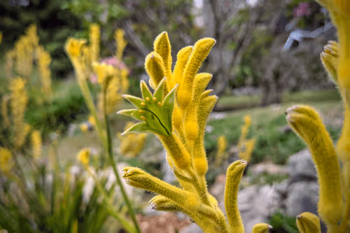 Item #39075669952795110311488058078452160275975432518977374571902800556342623862785 Media