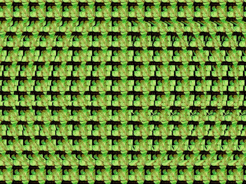 Item #88130759945627104659717679191221454266034471684034986277212474771738992836808 Media