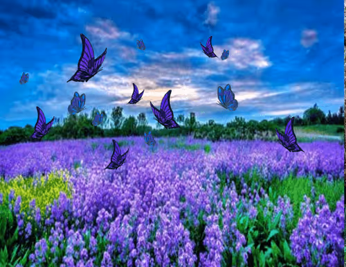 Item #41423174657448755454775180770704774351895892577704630438802697541275879473153 Media