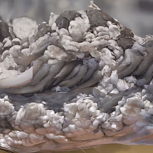 Item #93395006961826638296800139578225805964912795823865107383064249164513849376769 Media