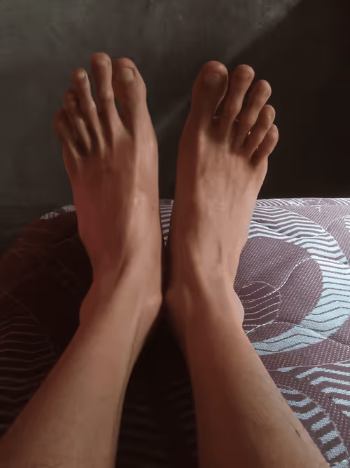 Item #96137145267750532975836499071623955151609569050890015015293172633856286654465 Media