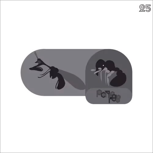 Item #24705041787920661933578063921032196695044586853584662932146667932497047715841 Media