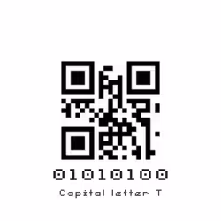 19881277009559011557562946224838286757794806641880668628789081762240621707265