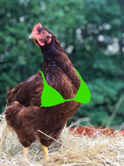 Item #94805265999709624542573221324772378019818175988873368548427765404093080666113 Media