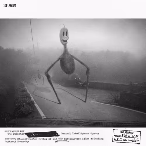 Item #17861321619876502400061855719940177044810550819980261895169355645476296196097 Media