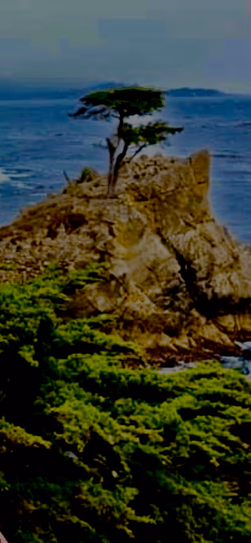 Item #2646579846290345964032806953007635643212354369225875537638499135661730168833 Media