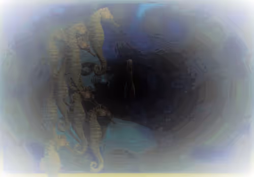 Item #85043563857425734787029872858228068518532895461354812368453170618546664767489 Media