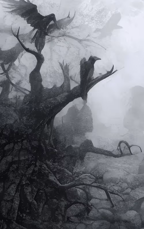 Item #32301362467748313282645280703801266418899216500040405030401637442749902880769 Media