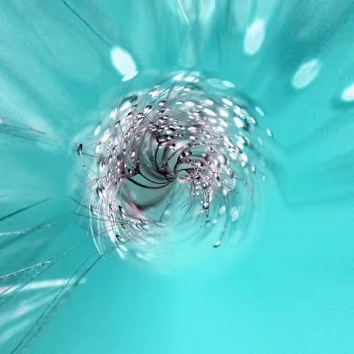 Item #33967597891392155351384980553994882442303756807492205648420271207901646815242 Media