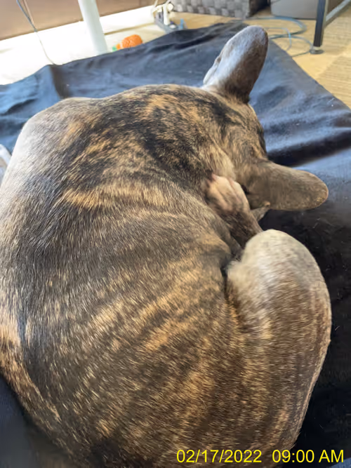 Item #99685864258770601277757069699041273913103300030191572471139504606461353263105 Media