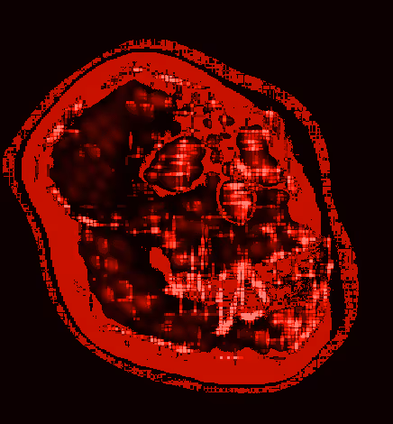 Item #80926432860847288351557924068159633664804178470775081465336395078661870452737 Media