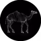 14875829963691589587997361774802624490107795856534421500166060892263637057586