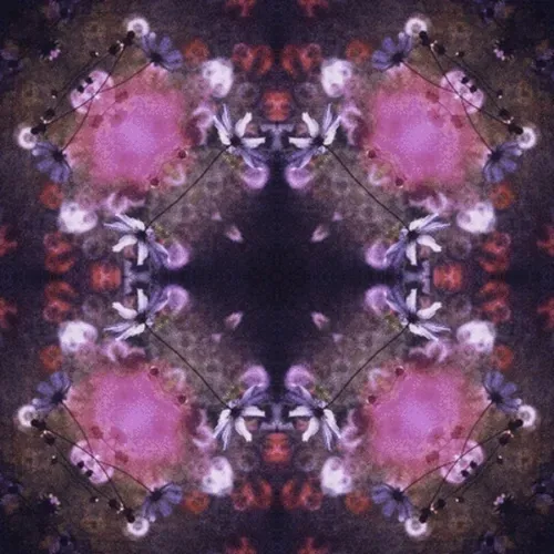 Item #33273431064062745158281459223994481396408298461003960329838769667842764701701 Media