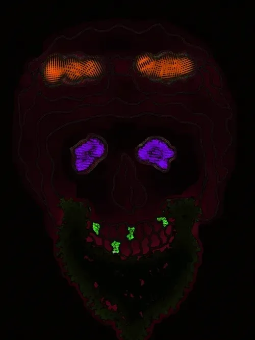 Item #80926432860847288351557924068159633664804178470775081465336394943421940246288 Media