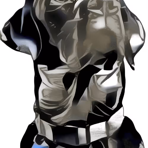 94633138191450171774936613272738146477458314748765306219033551122160009871362