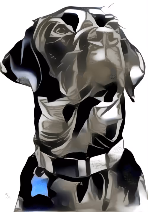 Item #94633138191450171774936613272738146477458314748765306219033551122160009871362 Media