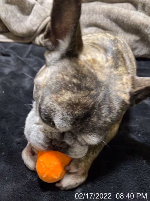 Item #99685864258770601277757069699041273913103300030191572471139504760392981151745 Media