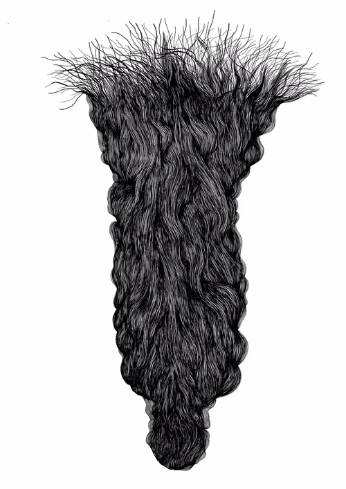 Item #48216677678887992956199146050101977369740452437452834237877791490476422987777 Media