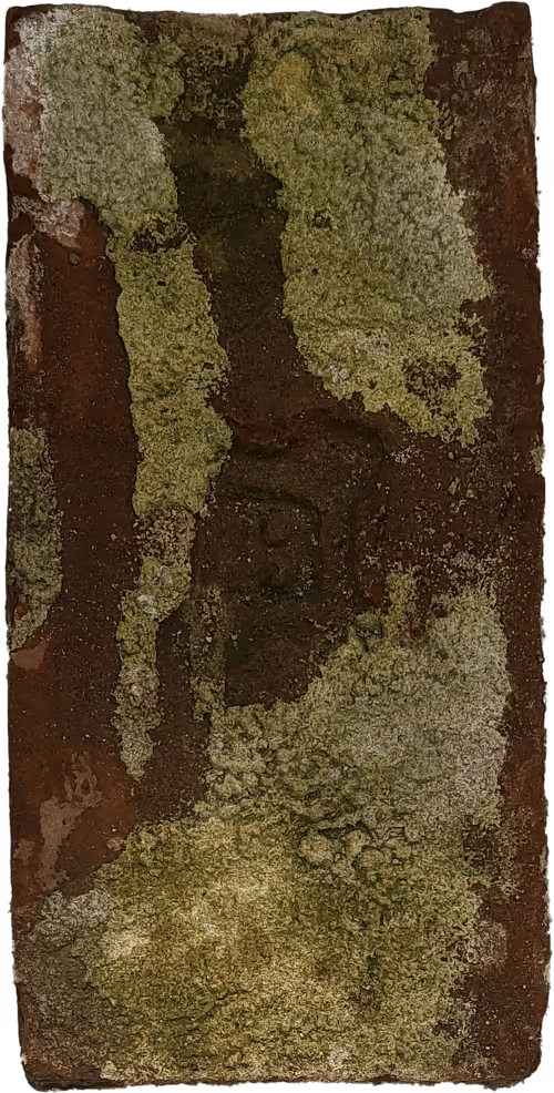 Item #73194705281701025861912132659705259899383078261166353176173450378749501505537 Media