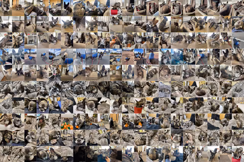 Item #99685864258770601277757069699041273913103300030191572471139504826363678818305 Media