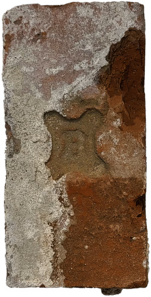 Item #73194705281701025861912132659705259899383078261166353176173450364455850344449 Media