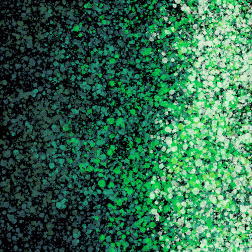 Item #7965548957634048696058756427613810033332288381231321723297303246069668249601 Media