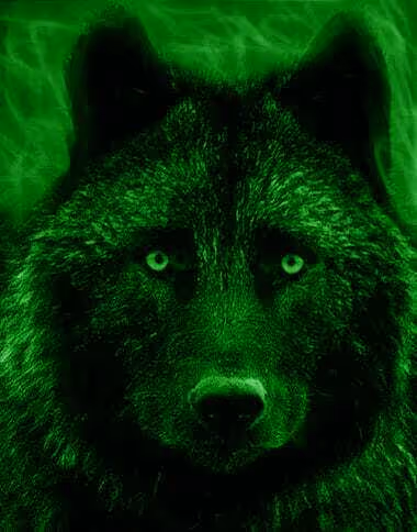 Item #22623297383426892917101335270761698949847758593200202890070986090645618163737 Media