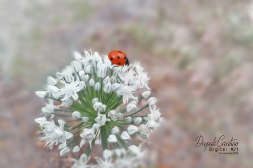 Item #54982935848129991973556064689647480390460762275352014366591179436413817978881 Media