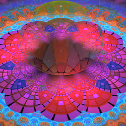 50684197605774142208935566748693813750684281578315025193761267557366581166081