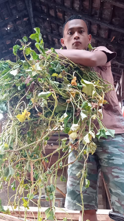 Item #439049340968981866709079485805570550088941763084455559998263119507496108033 Media