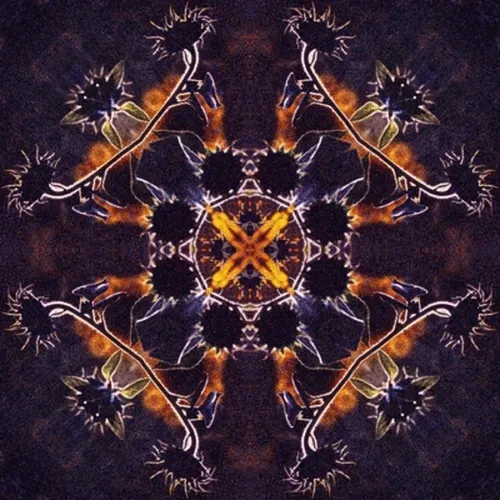 Item #33273431064062745158281459223994481396408298461003960329838769686534462373893 Media