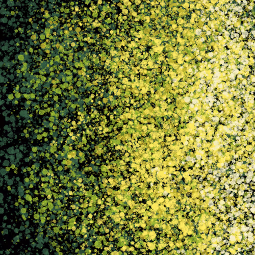 Item #7965548957634048696058756427613810033332288381231321723297303244970156621825 Media