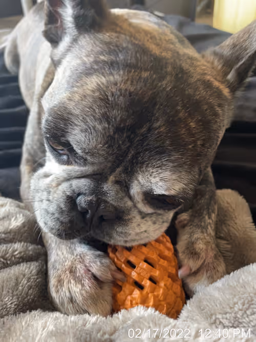 Item #99685864258770601277757069699041273913103300030191572471139504654839864885249 Media