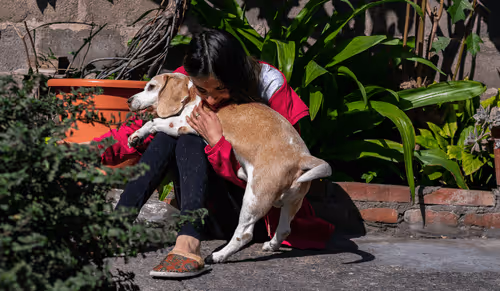 Item #68974856610287891345398477420152131783231641207281089982933452561595550924801 Media