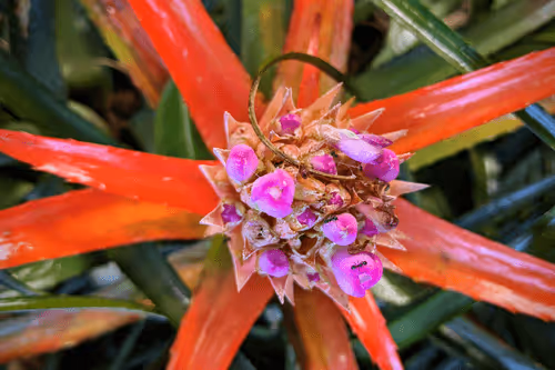 Item #39075669952795110311488058078452160275975432518977374571902800614616740134913 Media