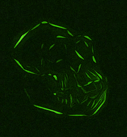 Item #80926432860847288351557924068159633664804178470775081465336395007193614647297 Media