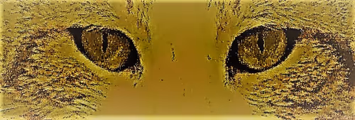 Item #85043563857425734787029872858228068518532895461354812368453170606452036861953 Media