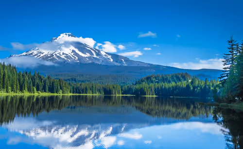 Item #82675066762132195112620091159068615616194051856956581423751175740304966811658 Media