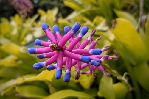 Item #39075669952795110311488058078452160275975432518977374571902800606920158740481 Media