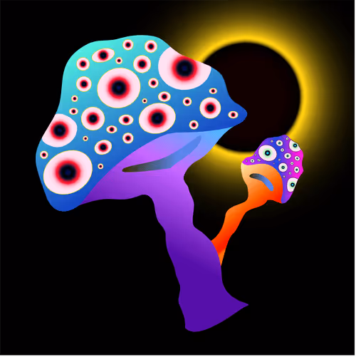 Item #69353682132584287921640915502496302946504347868100656215909837765061392728065 Media