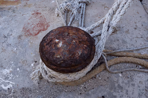 Item #99206175731752603969632246751396839615347692654100145142238794277504340197377 Media