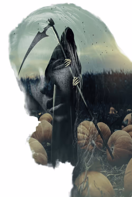 Item #20558082158967991518050825438561422023645529228999036092926231781283939221505 Media