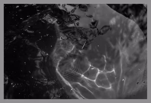 Item #39235584922614142939660206561436219704889843519746520476094237016832849477633 Media