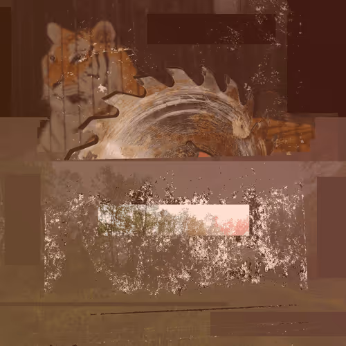 Item #111652930109264043611935341067736255756439208084570795366540966598444910116865 Media