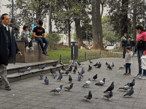 Item #68974856610287891345398477420152131783231641207281089982933452529709713719297 Media