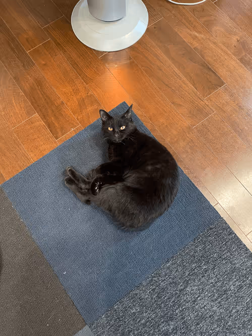 Item #57432309319676179700798702069366385585354272226932054472084542077174823256065 Media