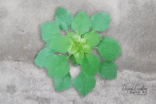 Item #54982935848129991973556064689647480390460762275352014366591179426518213328897 Media