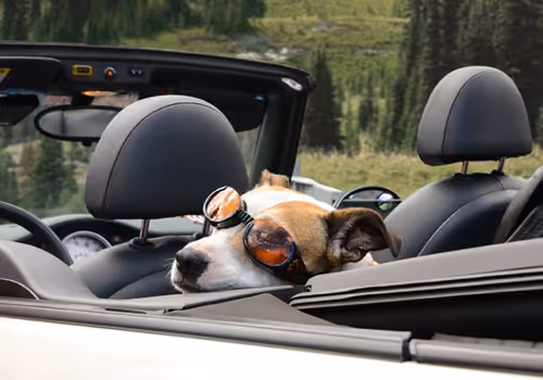 Item #109710830588480399268409455357539415839296167473445884238230358413153201553409 Media