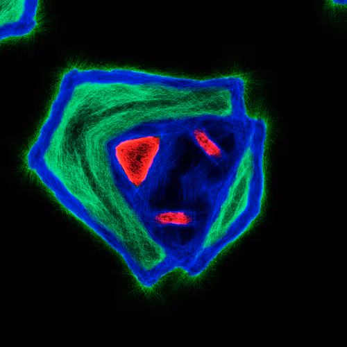 Item #80926432860847288351557924068159633664804178470775081465336396197964707528705 Media