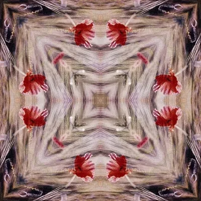 Item #33273431064062745158281459223994481396408298461003960329838769670041787957253 Media